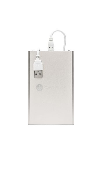 CHIC BUDS PREMIUM POWER BATTERY IN SILVER