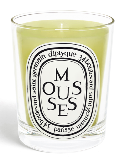 Diptyque Mousses Candle
